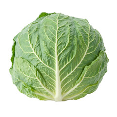 Fresh green cabbage leaf with intricate veins vibrant color and a hearty texture Isolated on a white background for a clean look