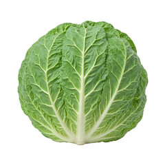 Fototapeta premium Fresh green cabbage leaf with intricate veins vibrant color and a hearty texture Isolated on a white background for a clean look