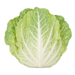 Fototapeta premium Fresh pale green cabbage leaf isolated on white showcasing its smooth texture and curled shape perfect for concepts of freshness and healthy eating