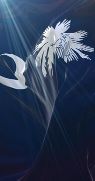 Flag of american state of South Carolina, United States. Loop. 4K Vertical