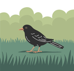 Blackbird with bright beak. Flying feathered thrush. Birds, nature and ornithology. Cartoon vector illustration
