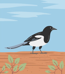 Magpie bird. Flying feathered. Animals, nature and ornithology. Cartoon vector illustration