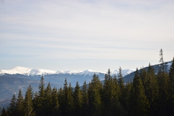 Karpathians mountains