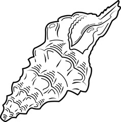 Spiral rapan shell. Abstract contour drawing. Doodle, sketch, outline, black and white image.