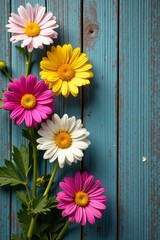 Fototapeta premium Bright daisies arranged on rustic wooden background, flowers, texture, summer