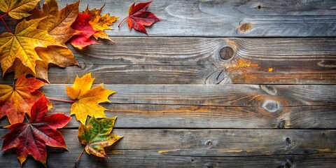 Fototapeta premium Autumnal Maple Leaves Arranged on Rustic Wooden Planks, Creating a Vibrant Seasonal Design