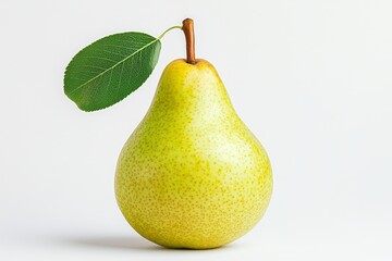 Single Green Pear with Leaf