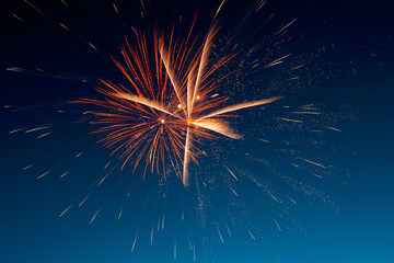 The moment of a firework explosion in the sky. This picture was taken with a long exposure, which captured the beauty and surprising shapes of the festive fireworks.