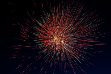 The moment of a firework explosion in the sky. This picture was taken with a long exposure, which captured the beauty and surprising shapes of the festive fireworks.