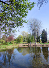 A small lake with a surface reflecting the blue sky, a stone bridge and many trees with bright green leaves in a park on sunny spring day. Pond, lawns with green grass in the park. Beautiful landscape