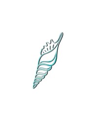 seashell outline illustration. Hand drawn illustrations of engraved line. Collection of realistic sketches various mollusk sea shells different 