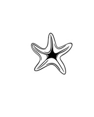 Starfish icon silhouette for starfish logo illustration. Simple design for starfish icon illustration or starfish logo concept.