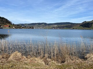 Swiss subalpine lake See Ägerisee or Ageri Lake (Ägeri Lake or Aegeri Lake) - Canton of Zug, Switzerland - (Agerisee oder Aegerisee - Kanton Zug, Schweiz)
