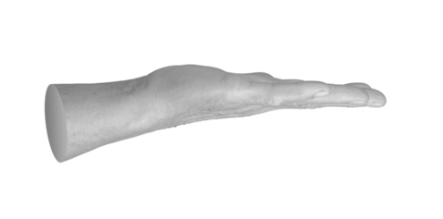 Elderly hand flat, palm outstretched in a salute or chop motion. Fingers extended horizontally, symbolizing a gesture of request or defiance. Wrinkled, aged skin, positioned for karate like chop.