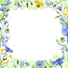 Wild flowers square frame. Elegant floral frame with blue, yellow and white flowers and green leaves. Hand drawn watercolor isolated on white background. Design for invitation, wedding or greeting
