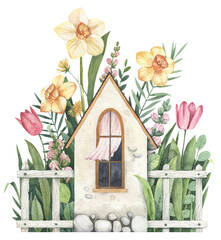Cozy garden house with white wooden fence, daffodil flowers, pink tulips and grenery. Watercolor hand painted illustration for postcards, greeting cards, spring themed designs