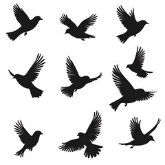 Flying Birds Silhouettes White Background