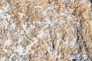 The background is a beautiful rough stone texture in close-up