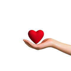 Obraz premium hand holding heart 3D render