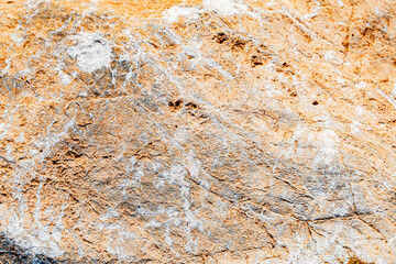 The background is a beautiful rough stone texture in close-up