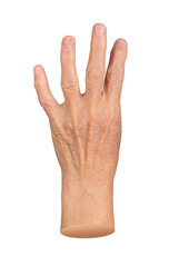Fototapeta premium Elderly hand showing four extended fingers in an expressive gesture. Aged skin with visible veins and wrinkles, showcasing detailed anatomy. Close up of senior woman s hand, isolated on white