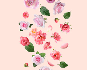 Beautiful flowers and green leaves falling on beige pink background