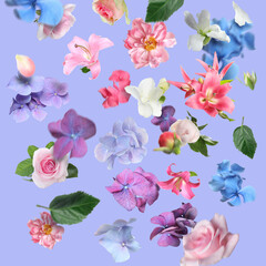 Beautiful flowers and green leaves falling on pastel violet blue background