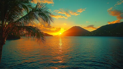 A palm tree in the middle of a body of water at sunset