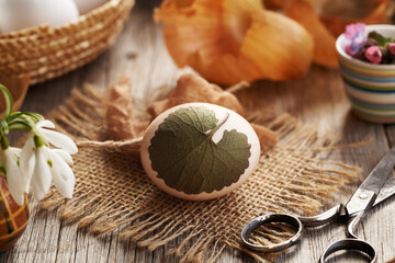 Easter egg with herbs attached to it with old stockings, ready to be dyed with onion peels