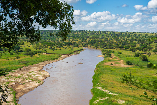 &Uuml;berblick und Ausblick auf den Tarangire Nationalpark in Tansania, Afrika mit der Gr&uuml;nen Savanne und einem seichten Fluss