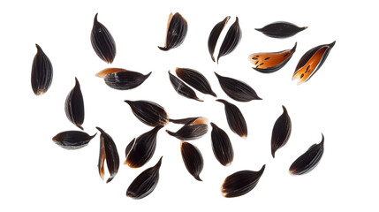PNG of A collection of glossy black seeds with hints of orange, scattered artistically against a contrasting background.