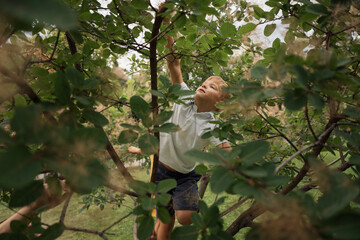 A young boy wearing a white shirt climbs a tree, surrounded by lush greenery. The image captures a moment of adventure and exploration.