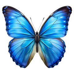 Blue Butterfly with transparent background. Generative AI