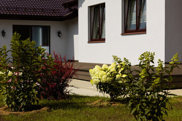 Country house in minimalist Scandinavian style. Garden and lawn maintenance.