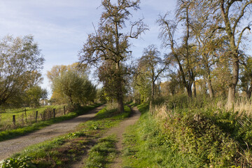idyllic landscape, sunny day, idyllic field paths on a sunny day, pretty forest paths under a blue sky, a narrow path surrounded by a wooden fence and many trees, a meadow