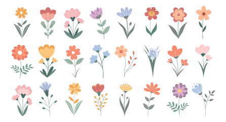 Set of cute hand drawn wild flowers. Beautiful collection of floral elements. Flat illustration