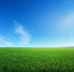 Obraz premium Green grassy hill with a blue sky background, ultra-realistic photography