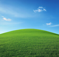 Fototapeta premium Green grassy hill with a blue sky background, ultra-realistic photography