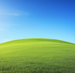 Obraz premium Green grassy hill with a blue sky background, ultra-realistic photography