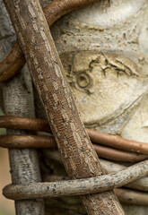 organic wooden branches