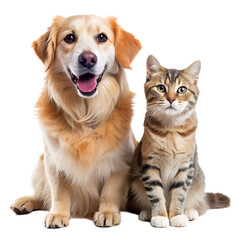 Dog and Cat with transparent background. Generative AI