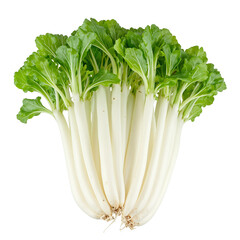 Fresh daikon radishes with long white roots and vibrant green tops isolated on white Crisp and refreshing