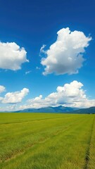 Obraz premium A serene scene of a green grass field under a brilliant blue sky with cumulus clouds and distant mountain peaks, Cumulus Clouds, Nature, Countryside