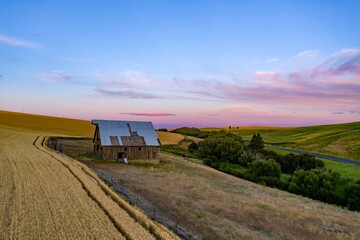 An old barn stands in a wheat field in Pullman,  the Palouse region of Washington, USA. The barn is...