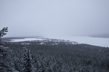 Incredible winter landscape with snowcapped pine trees under cloudy skies in frosty morning. Jukkasjarvi, outside of Kiruna.