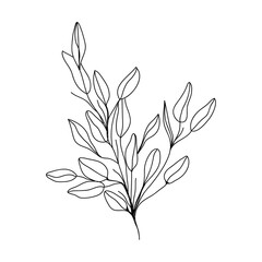 black and white flowers