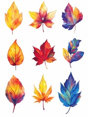 Obraz premium A set of colorful autumn leaves