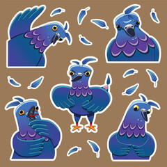 Funny stickers with funny silly pigeons in different poses in vector