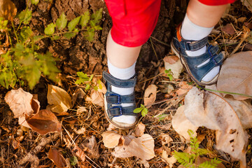 Baby feet in sandals on autumn leaves background
