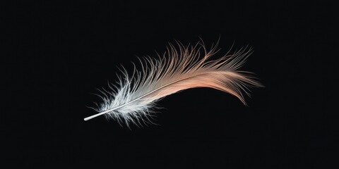 Obraz premium A single feather rests against a dark black background gently